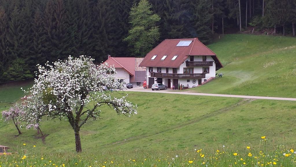 Ferienwohnung Ringwald Biederbach Baden-Württemberg Екстериор снимка